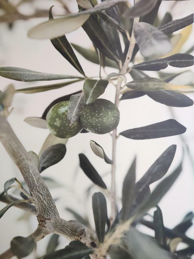 Greca Mare-Traditional Greek Boutique Apt. Ψακούδια Εξωτερικό φωτογραφία